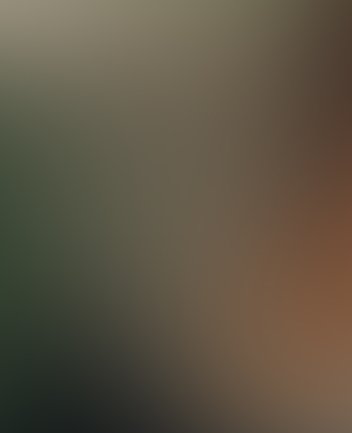 Abstraktes, stimmungsvolles Bild in warmen Braun- und Grüntönen: Weiche Farbverläufe und unscharfe Formen erinnern an Moos und Naturstrukturen und evozieren die Atmosphäre der Oper Kain und Abel von Alessandro Scarlatti.