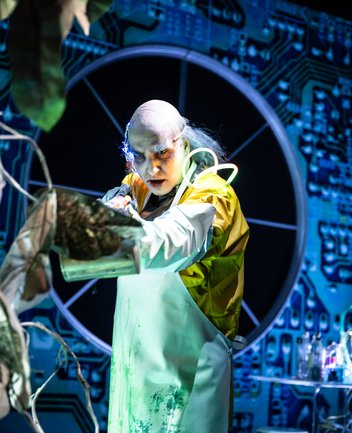 Der Wunschpunsch: Beelzebub Irrwitzer