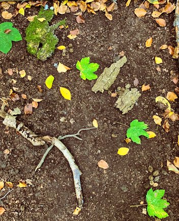 Auf dem Waldboden liegt ein rechteckiger Rahmen aus Ästen, gefüllt mit dunkler Erde. Darin sind sorgfältig arrangierte Naturmaterialien wie grüne und gelbe Blätter, Moosstücke, Rinde und ein gebogener Ast zu sehen. Rund um den Rahmen liegen herbstliche Laubblätter.