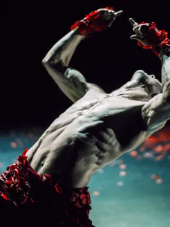 Le Spectre De La Rose von Marco Goecke, Ballett Basel